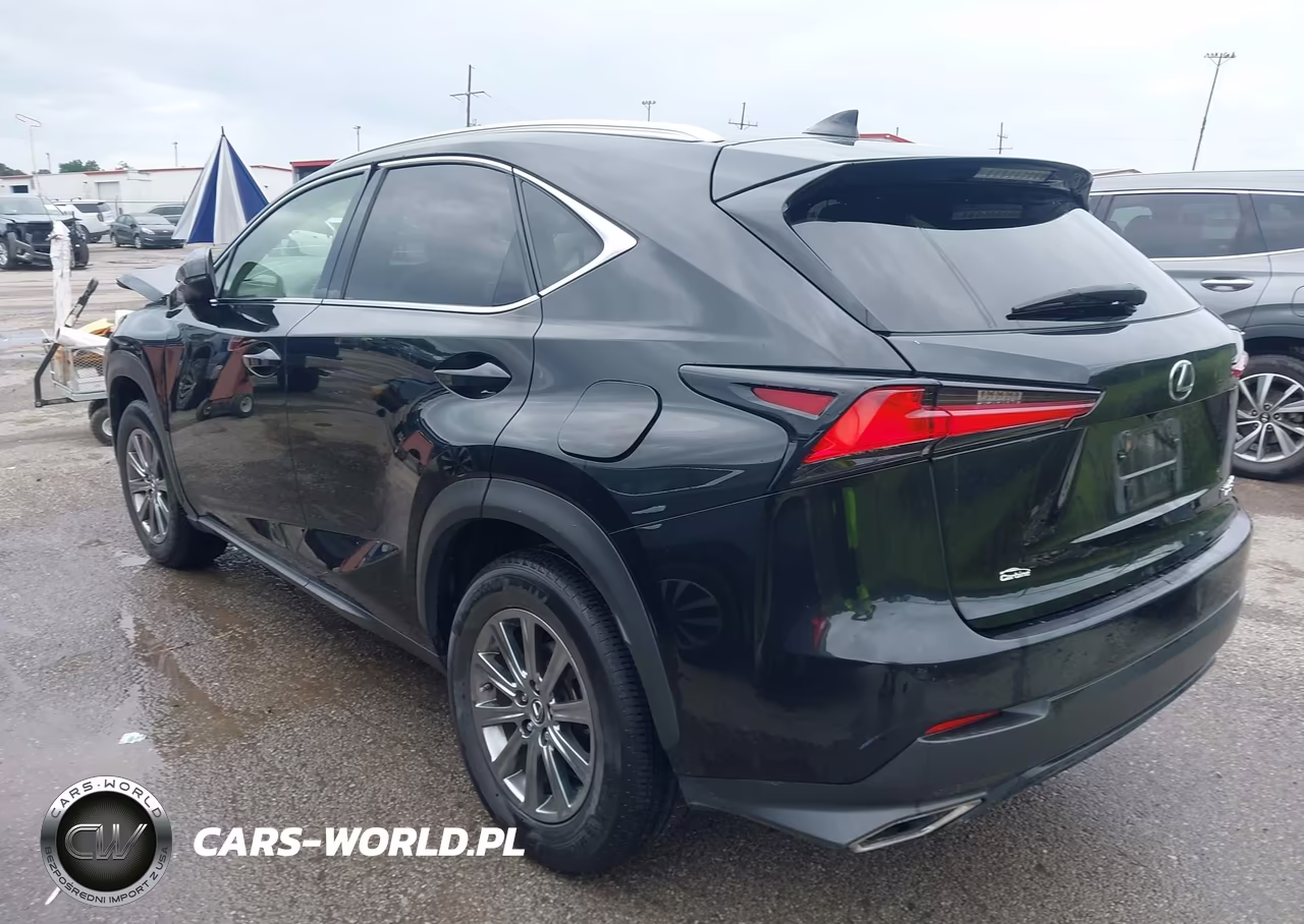 2019 Lexus Nx 300 VIN:JTJBARBZ3K2181718 - 3