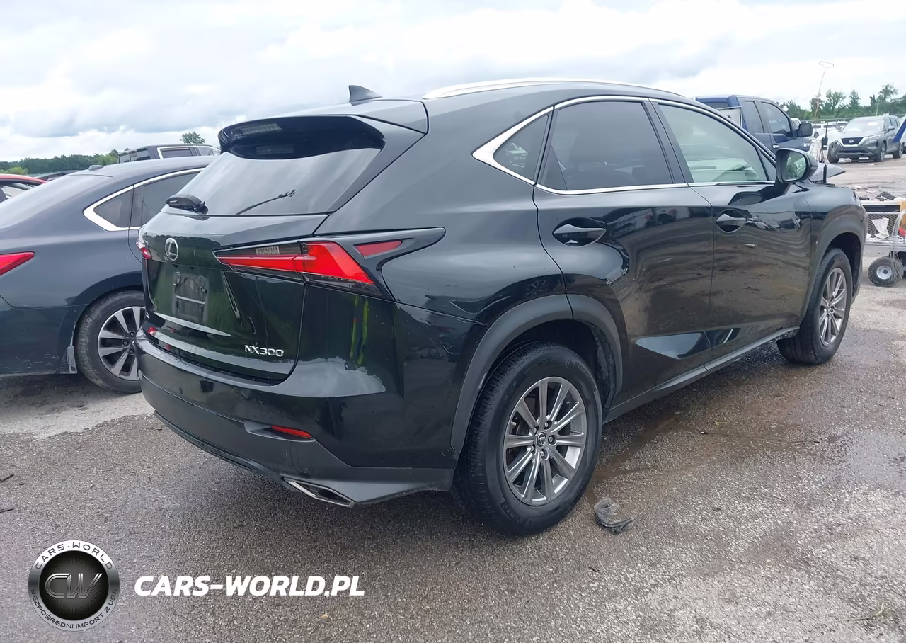 2019 Lexus Nx 300 VIN:JTJBARBZ3K2181718 - 4