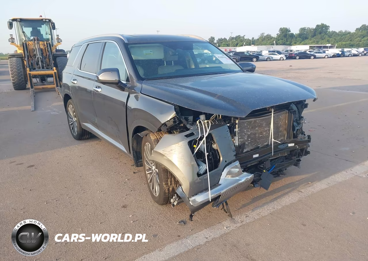 2025 Hyundai Palisade Calligraphy VIN:KM8R74GE3SU951800 - 1