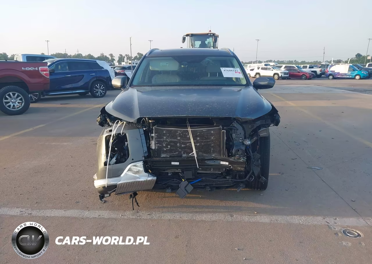 2025 Hyundai Palisade Calligraphy VIN:KM8R74GE3SU951800 - 12