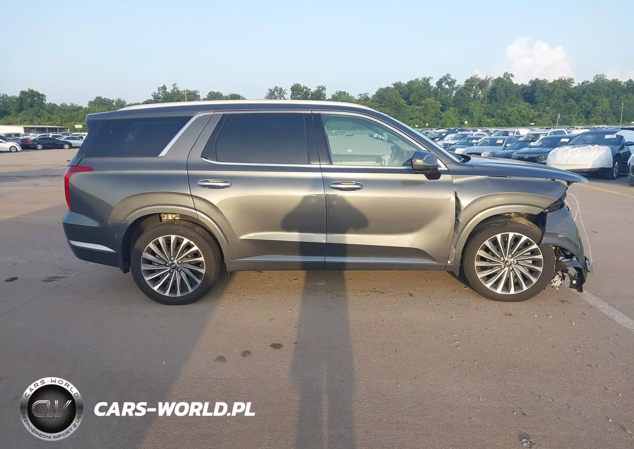 2025 Hyundai Palisade Calligraphy VIN:KM8R74GE3SU951800 - 13