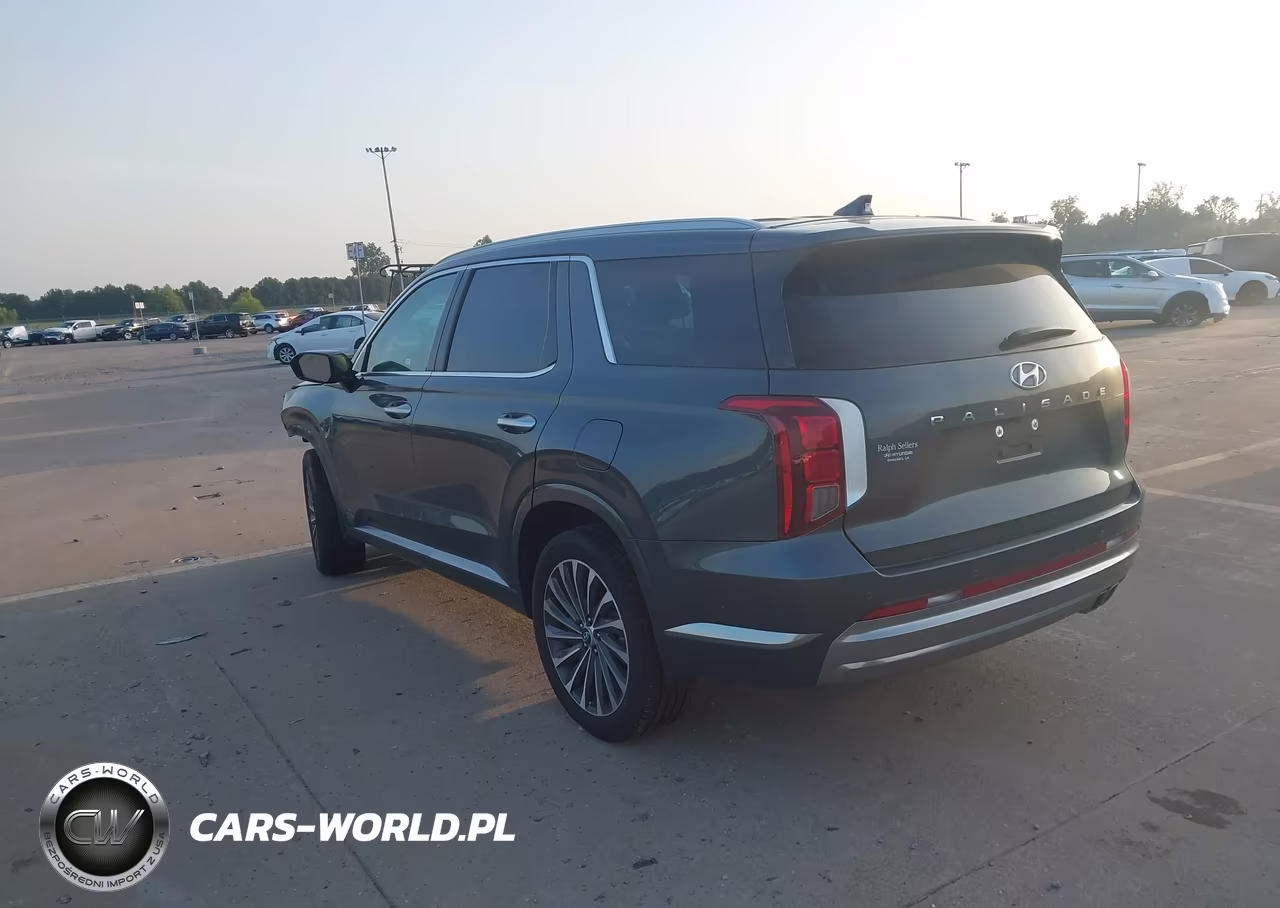 2025 Hyundai Palisade Calligraphy VIN:KM8R74GE3SU951800 - 3