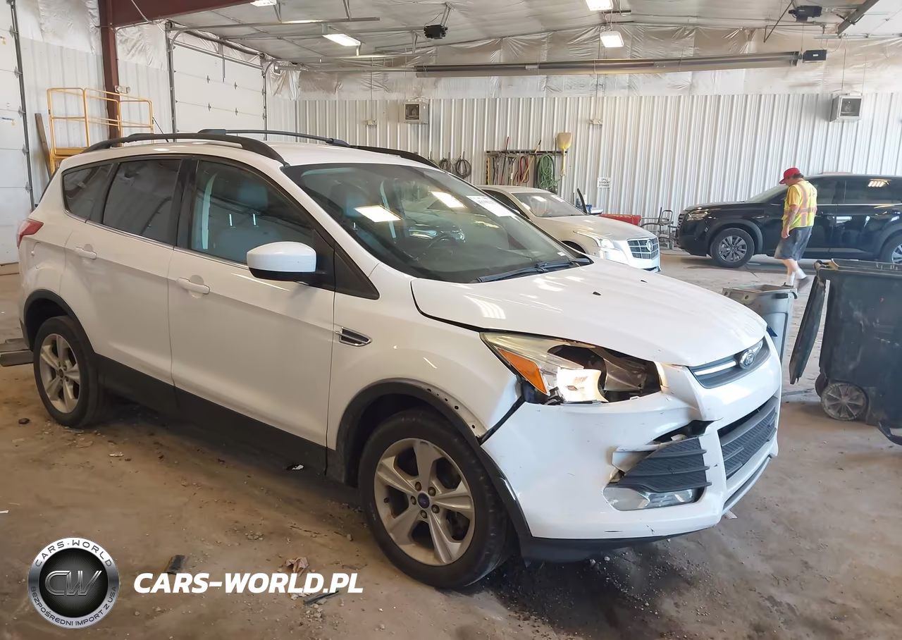 2014 Ford Escape Se