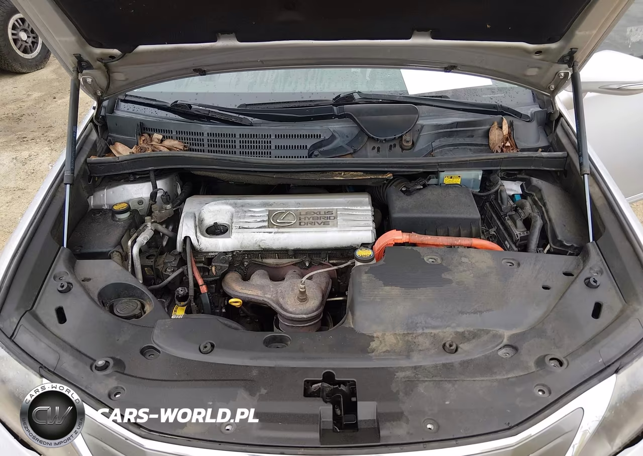 2010 Lexus Hs 250H Premium VIN:JTHBB1BAXA2006682 - 10