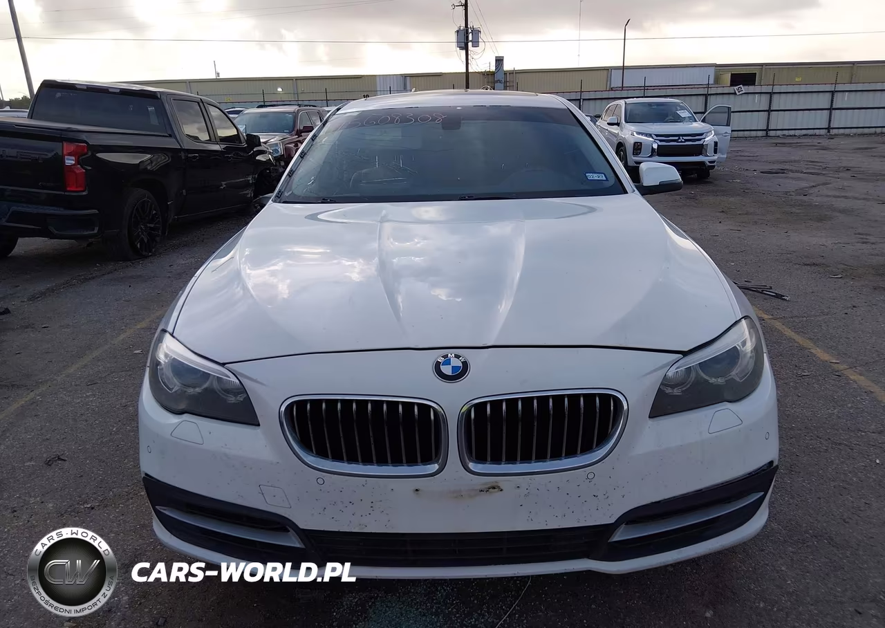 2014 BMW 528I VIN:WBA5A5C52ED500259 - 12
