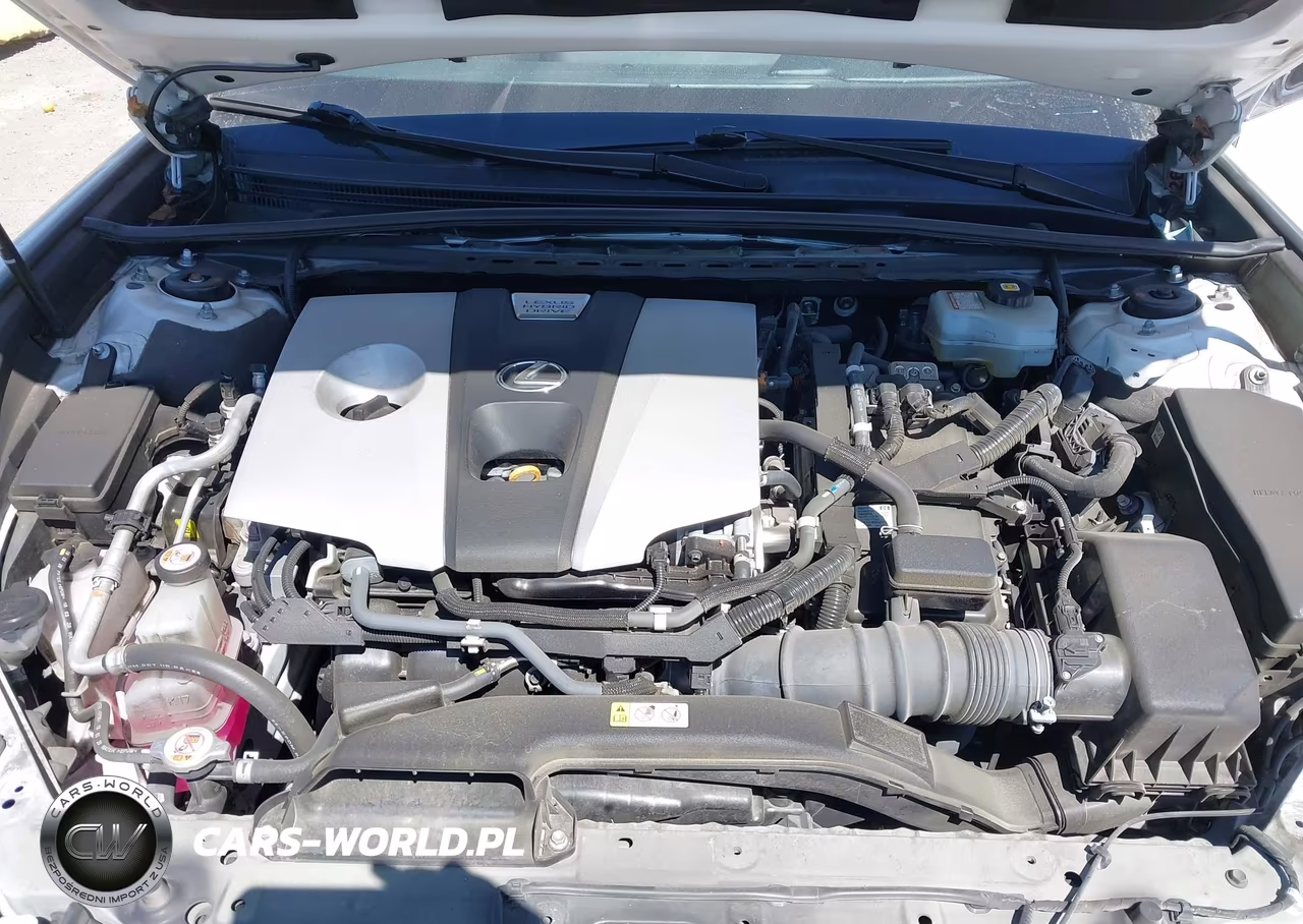 2021 Lexus Es 300H VIN:58ACA1C13MU003580 - 10
