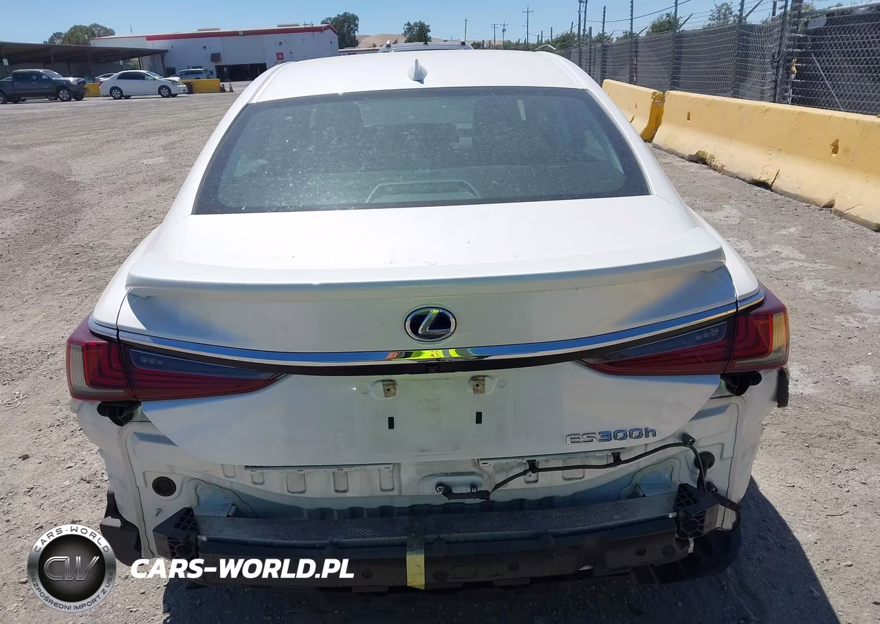 2021 Lexus Es 300H VIN:58ACA1C13MU003580 - 17