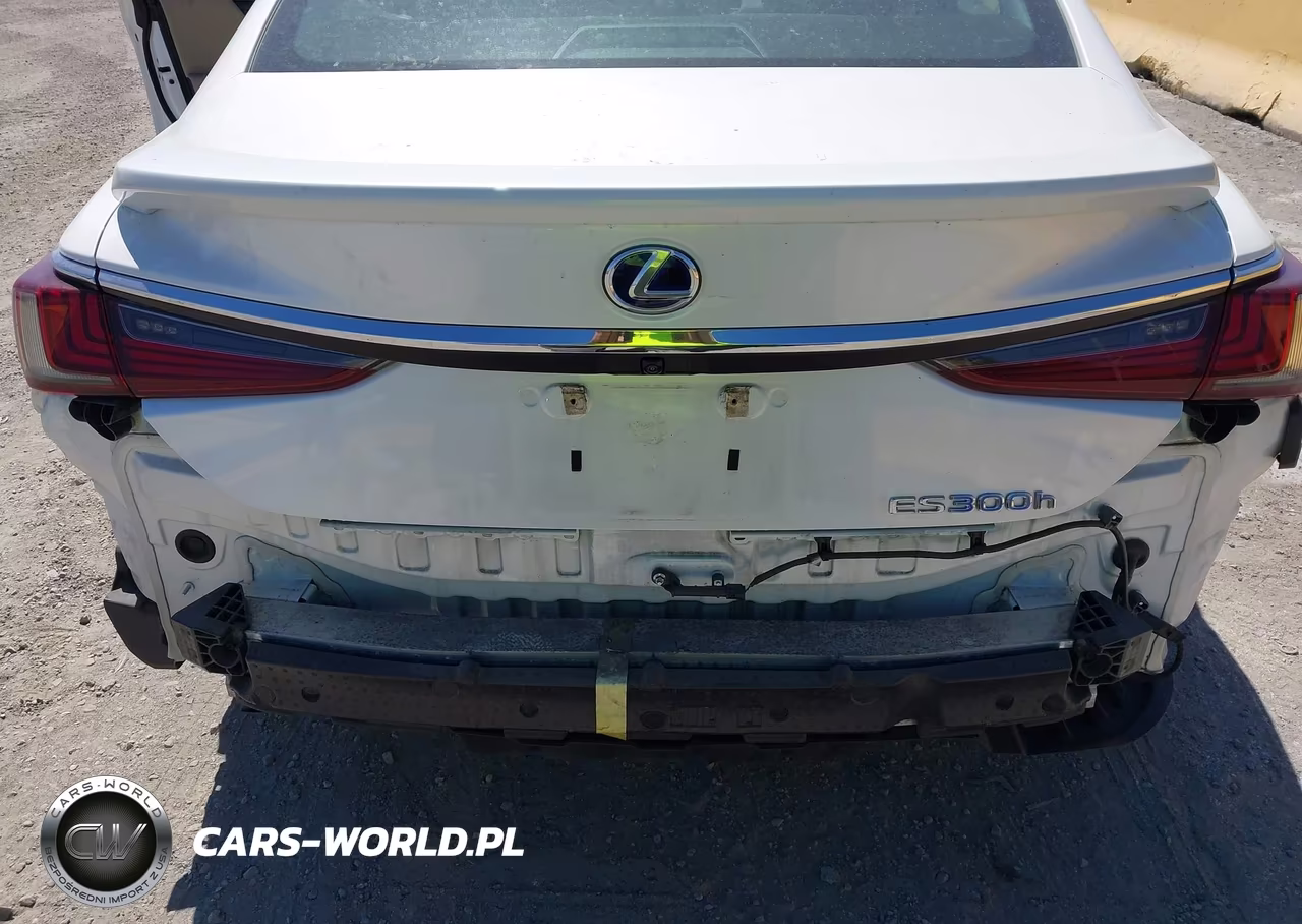 2021 Lexus Es 300H VIN:58ACA1C13MU003580 - 18