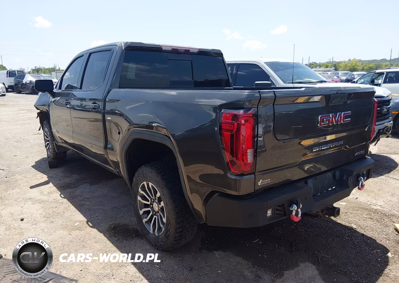 2020 GMC Sierra 1500 4Wd Short Box At4 VIN:1GTP9EEL3LZ168946 - 3