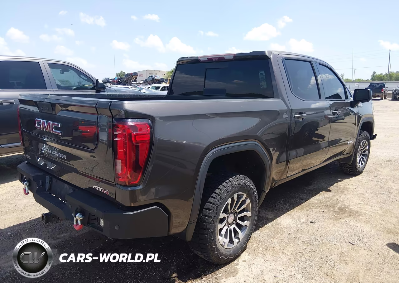 2020 GMC Sierra 1500 4Wd Short Box At4 VIN:1GTP9EEL3LZ168946 - 4