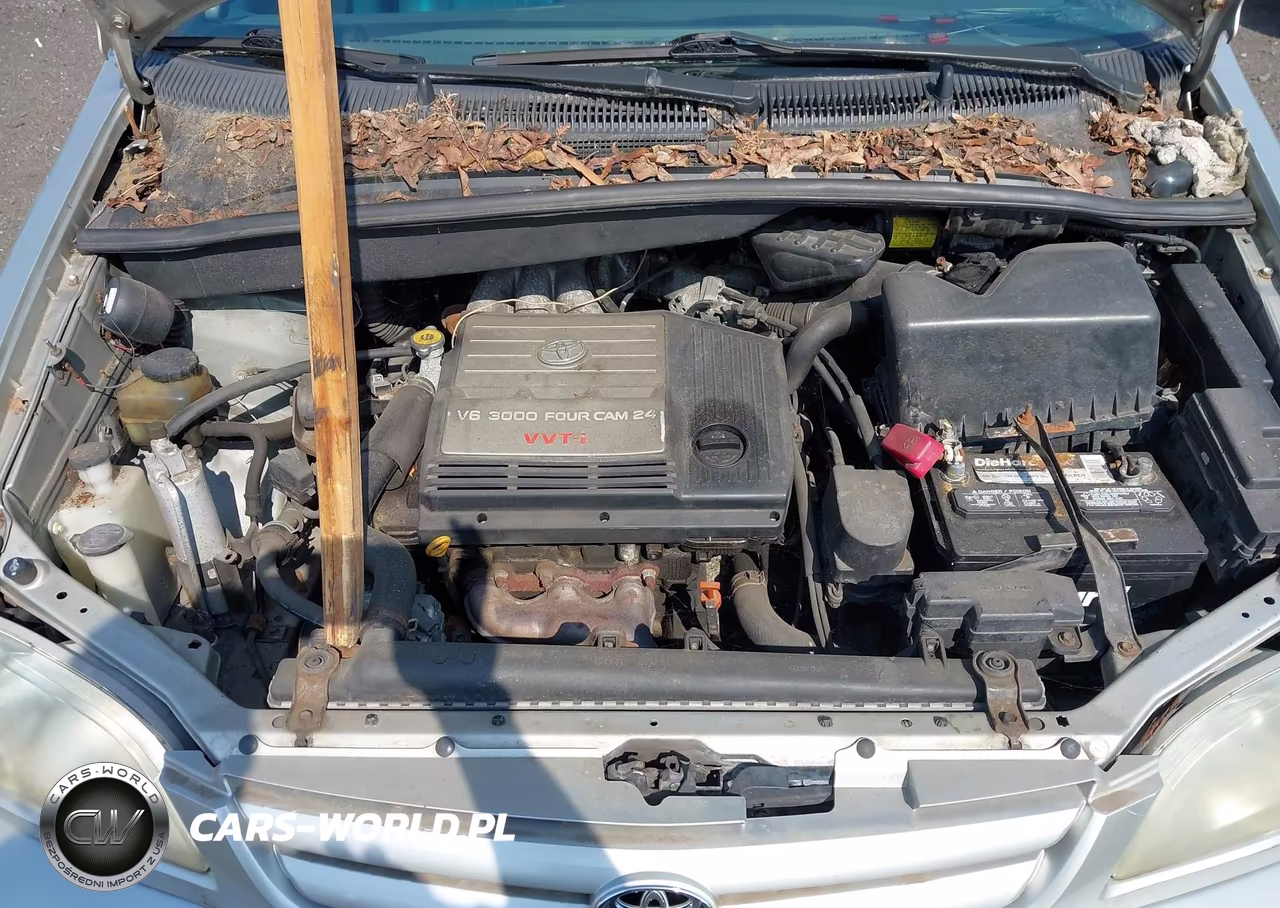 2002 Toyota Sienna Le-Xle VIN:4T3ZF13C62U462689 - 10