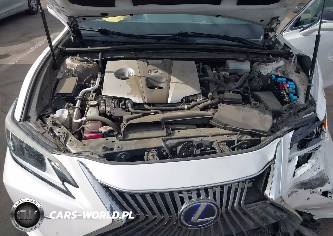 2019 Lexus Es 300H VIN:58AB21B10KU004290 - 10