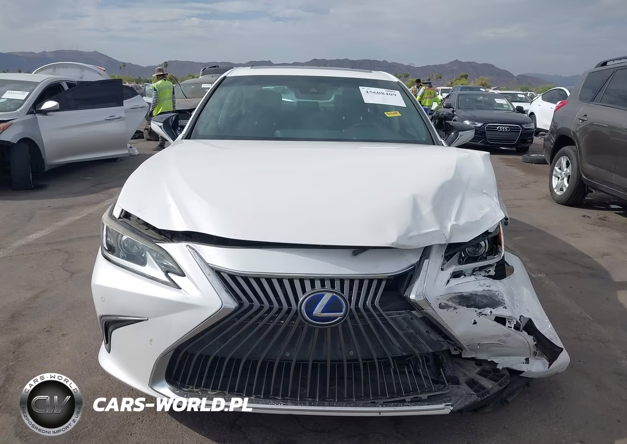 2019 Lexus Es 300H VIN:58AB21B10KU004290 - 12