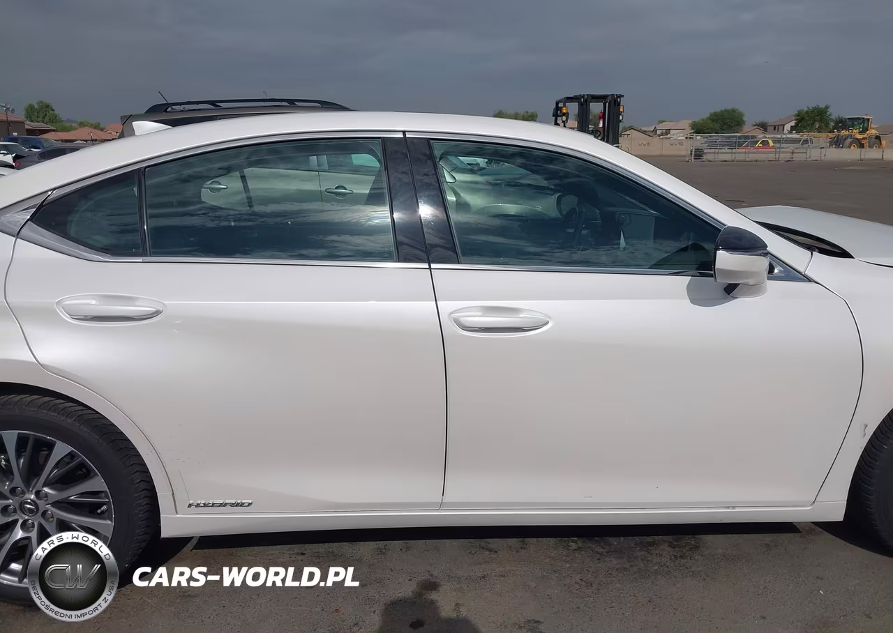 2019 Lexus Es 300H VIN:58AB21B10KU004290 - 13
