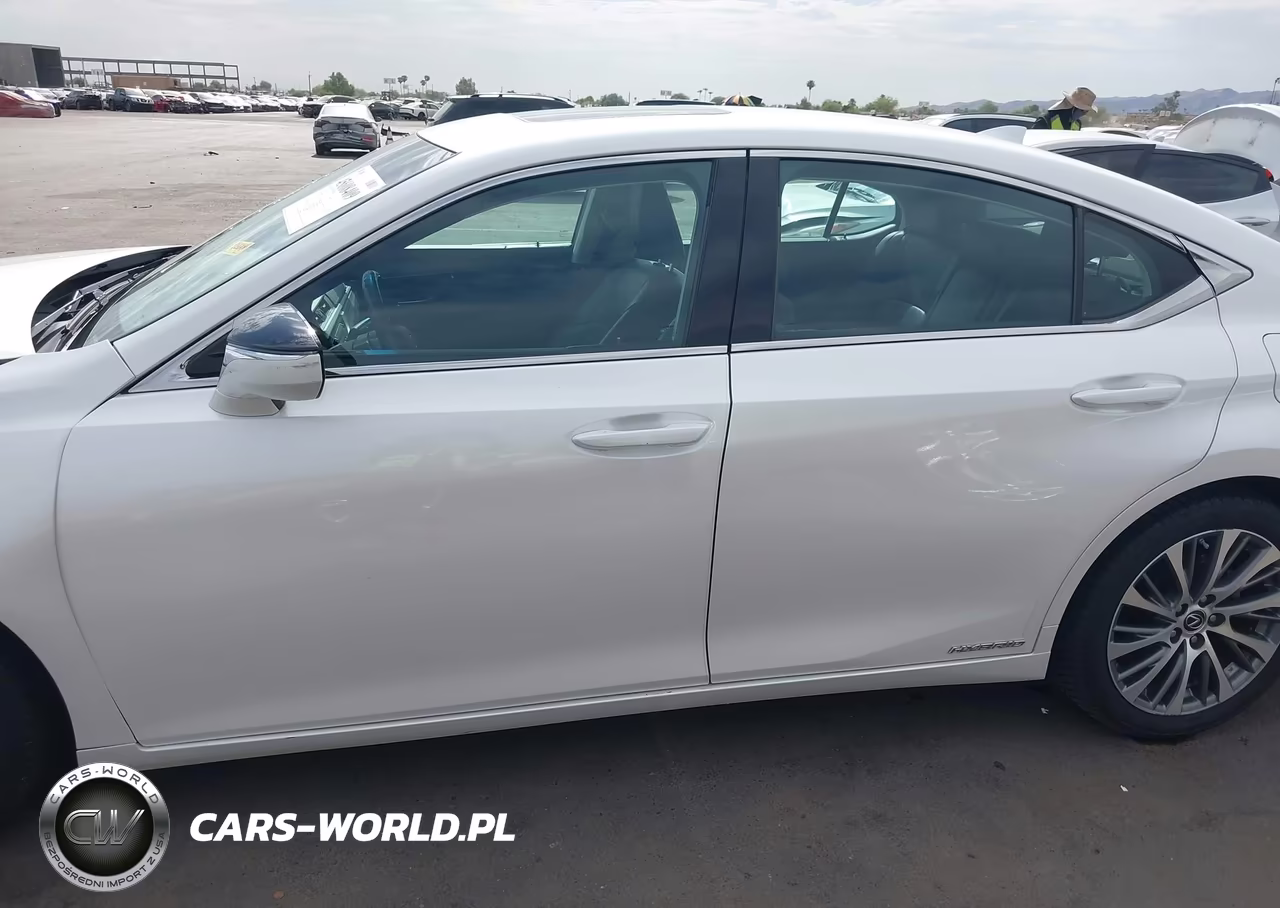2019 Lexus Es 300H VIN:58AB21B10KU004290 - 14