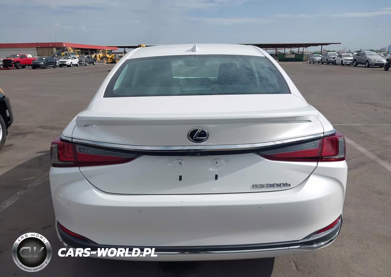 2019 Lexus Es 300H VIN:58AB21B10KU004290 - 16