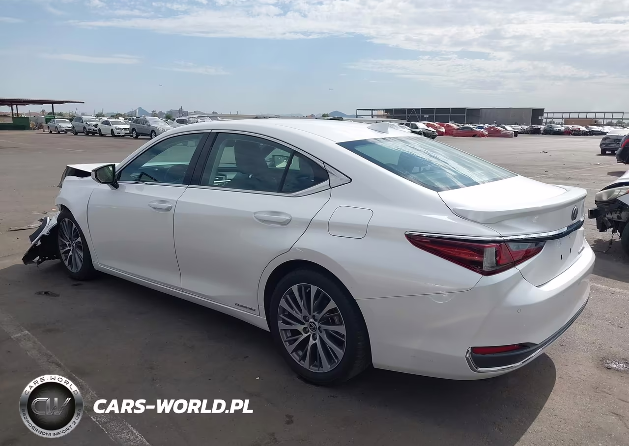 2019 Lexus Es 300H VIN:58AB21B10KU004290 - 3
