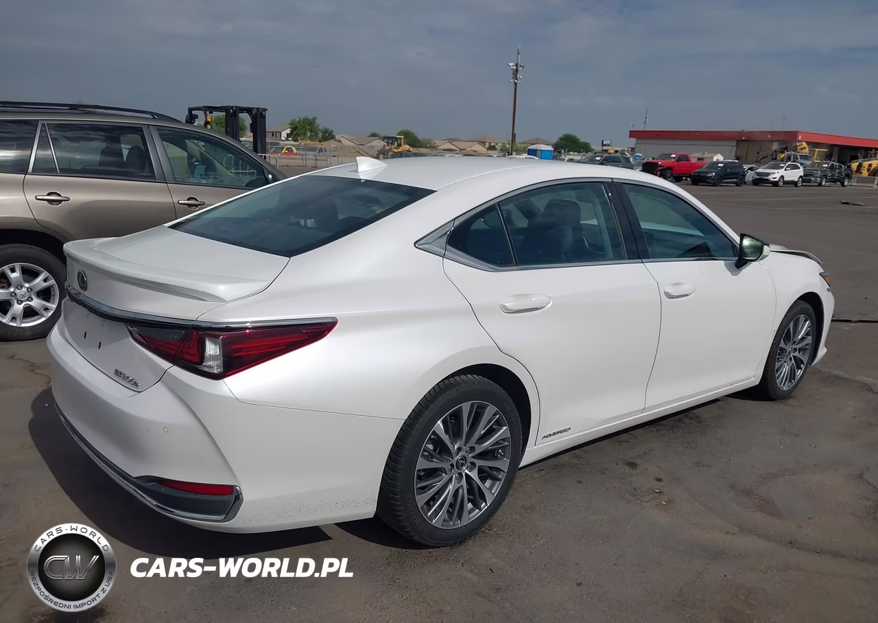 2019 Lexus Es 300H VIN:58AB21B10KU004290 - 4