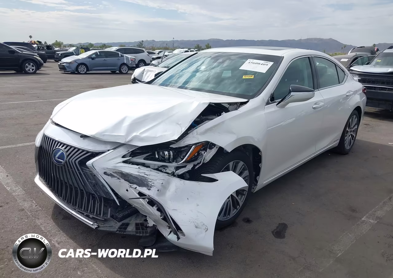 2019 Lexus Es 300H VIN:58AB21B10KU004290 - 6