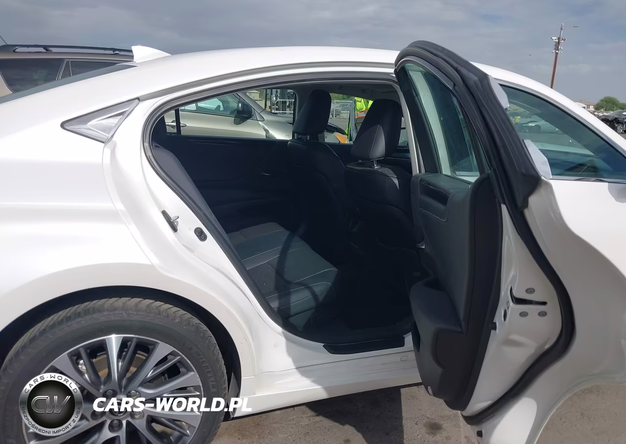 2019 Lexus Es 300H VIN:58AB21B10KU004290 - 8