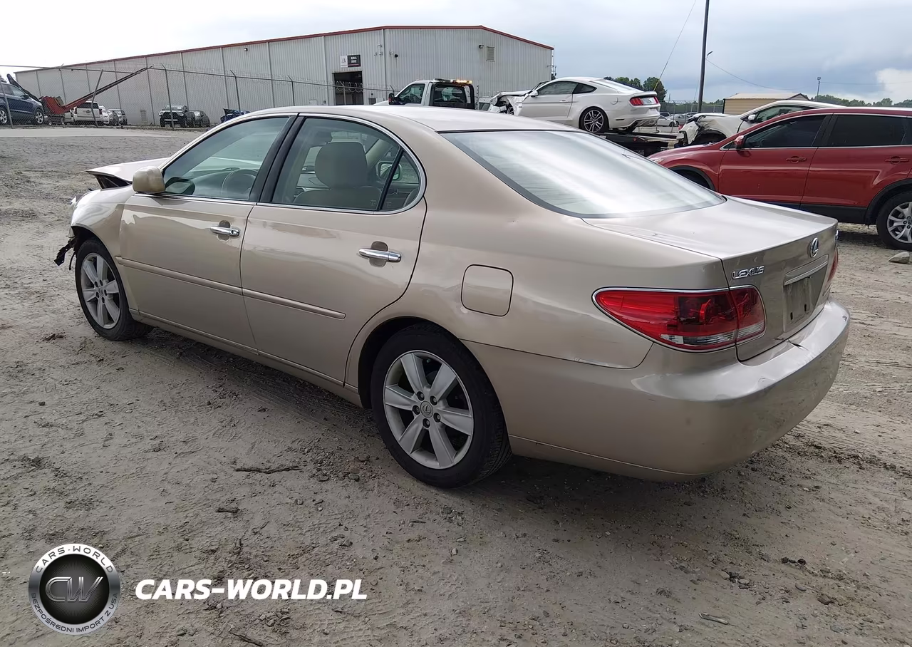 2006 Lexus Es 330 VIN:JTHBA30G165164498 - 3