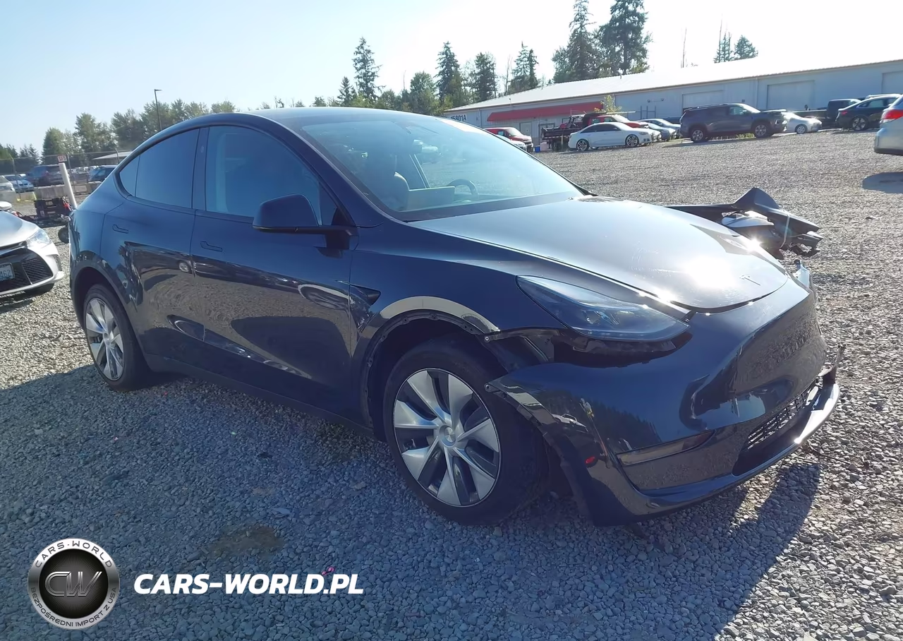 2024 Tesla Model Y Long Range Single Motor Rear-Wheel Drive-Rwd VIN:7SAYGDEDXRF006276 - 1