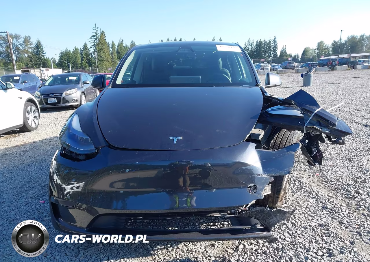 2024 Tesla Model Y Long Range Single Motor Rear-Wheel Drive-Rwd VIN:7SAYGDEDXRF006276 - 13