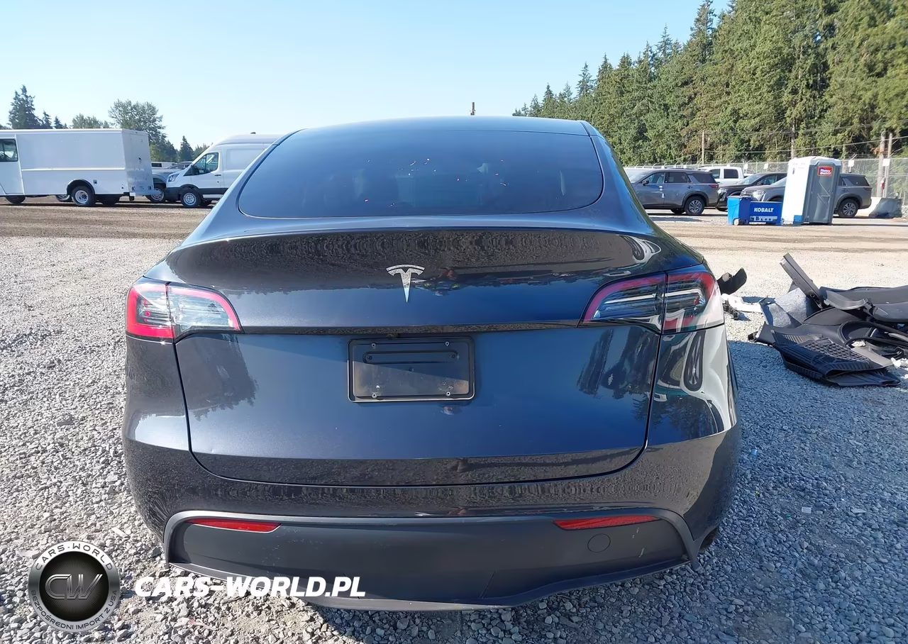 2024 Tesla Model Y Long Range Single Motor Rear-Wheel Drive-Rwd VIN:7SAYGDEDXRF006276 - 17