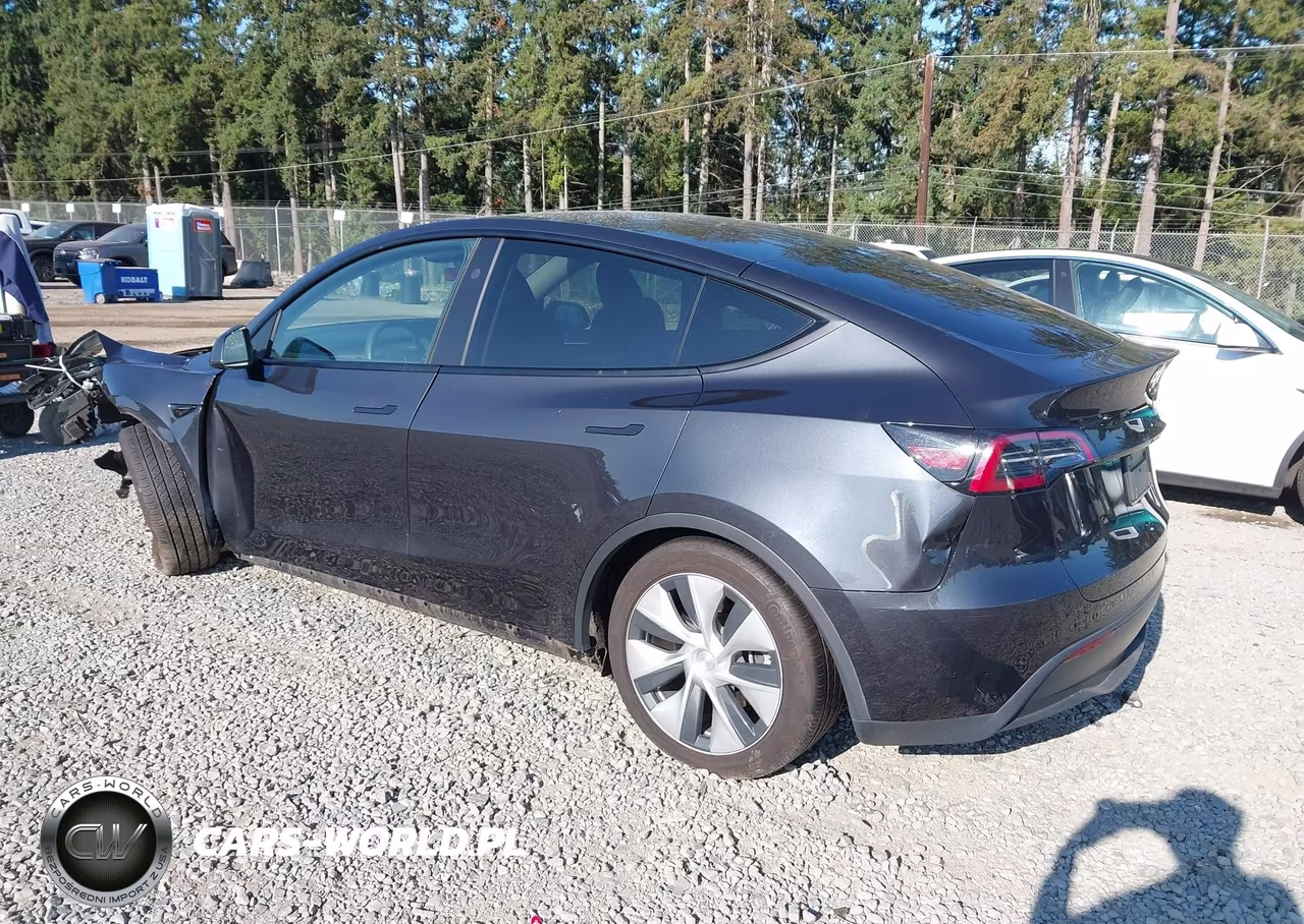 2024 Tesla Model Y Long Range Single Motor Rear-Wheel Drive-Rwd VIN:7SAYGDEDXRF006276 - 3