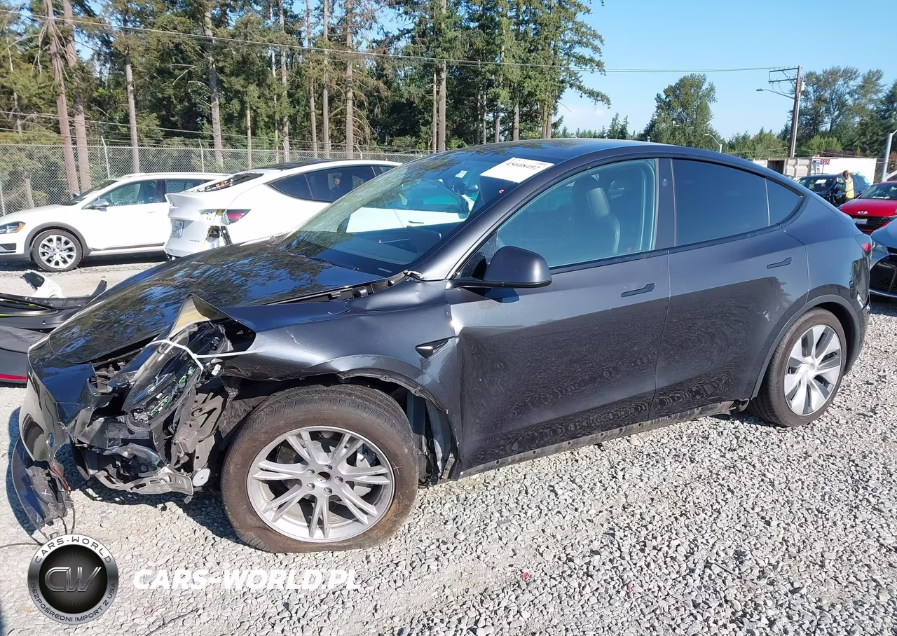2024 Tesla Model Y Long Range Single Motor Rear-Wheel Drive-Rwd VIN:7SAYGDEDXRF006276 - 6