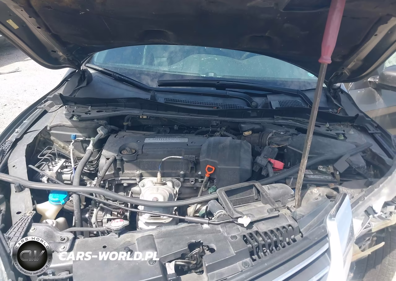 2013 Honda Accord Ex-L VIN:1HGCR2F87DA140642 - 10
