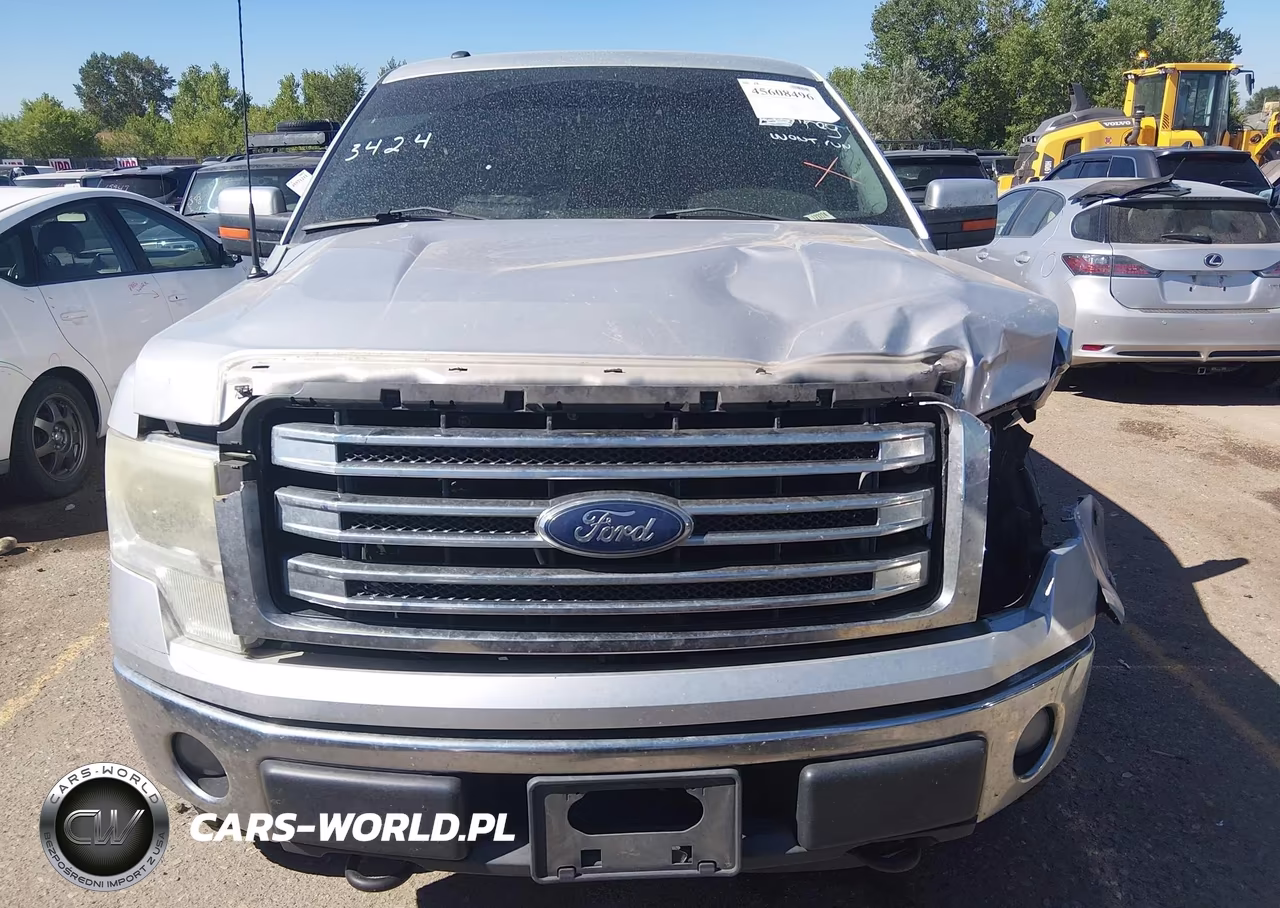 2013 Ford F-150 Fx4-King Ranch-Lariat-Platinum-Xl-Xlt VIN:1FTFW1EF2DFB96246 - 13