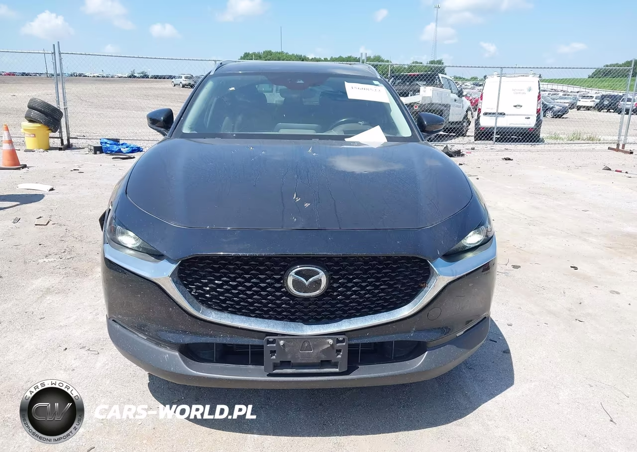 2021 Mazda Cx-30 Premium VIN:3MVDMBDL9MM303477 - 13