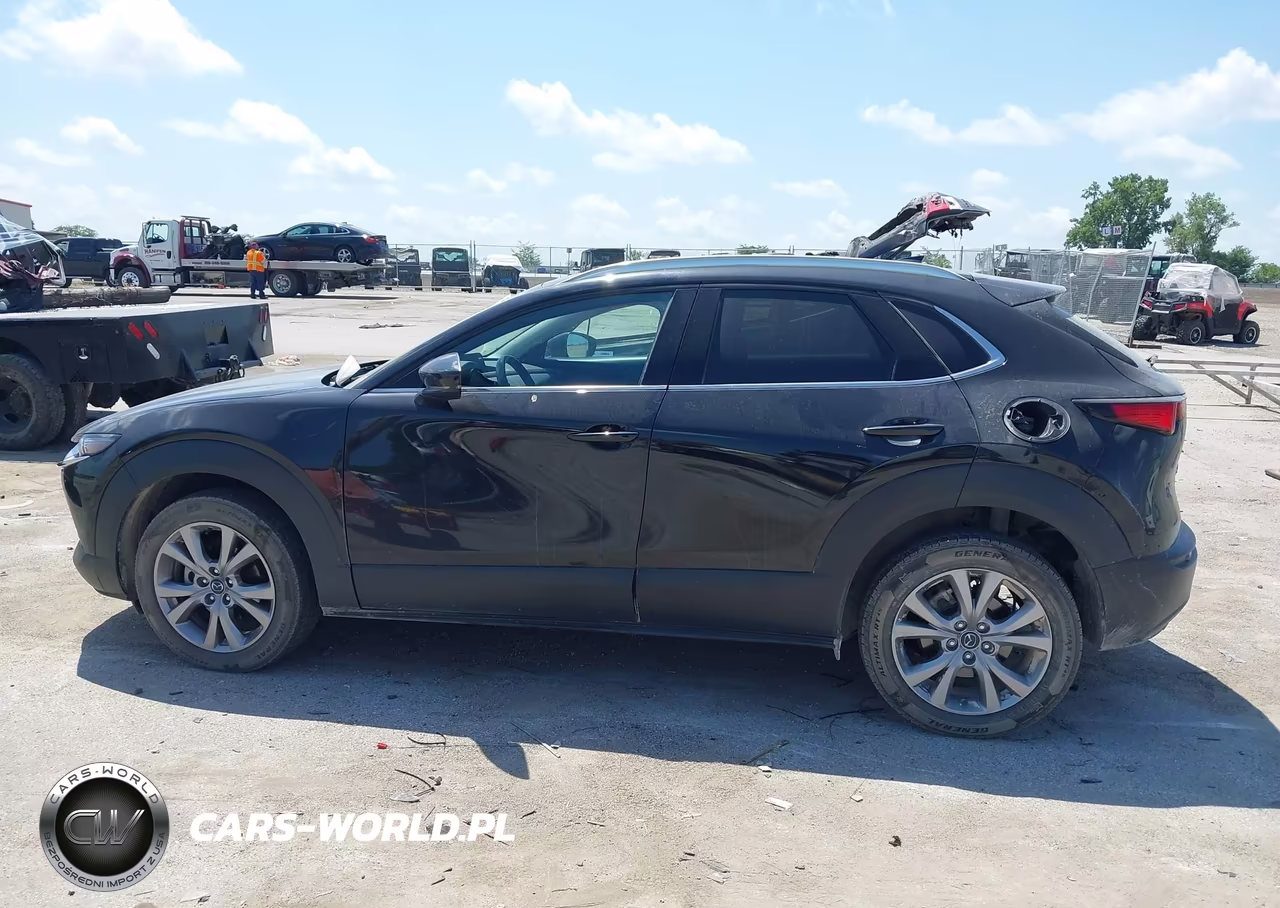 2021 Mazda Cx-30 Premium VIN:3MVDMBDL9MM303477 - 15