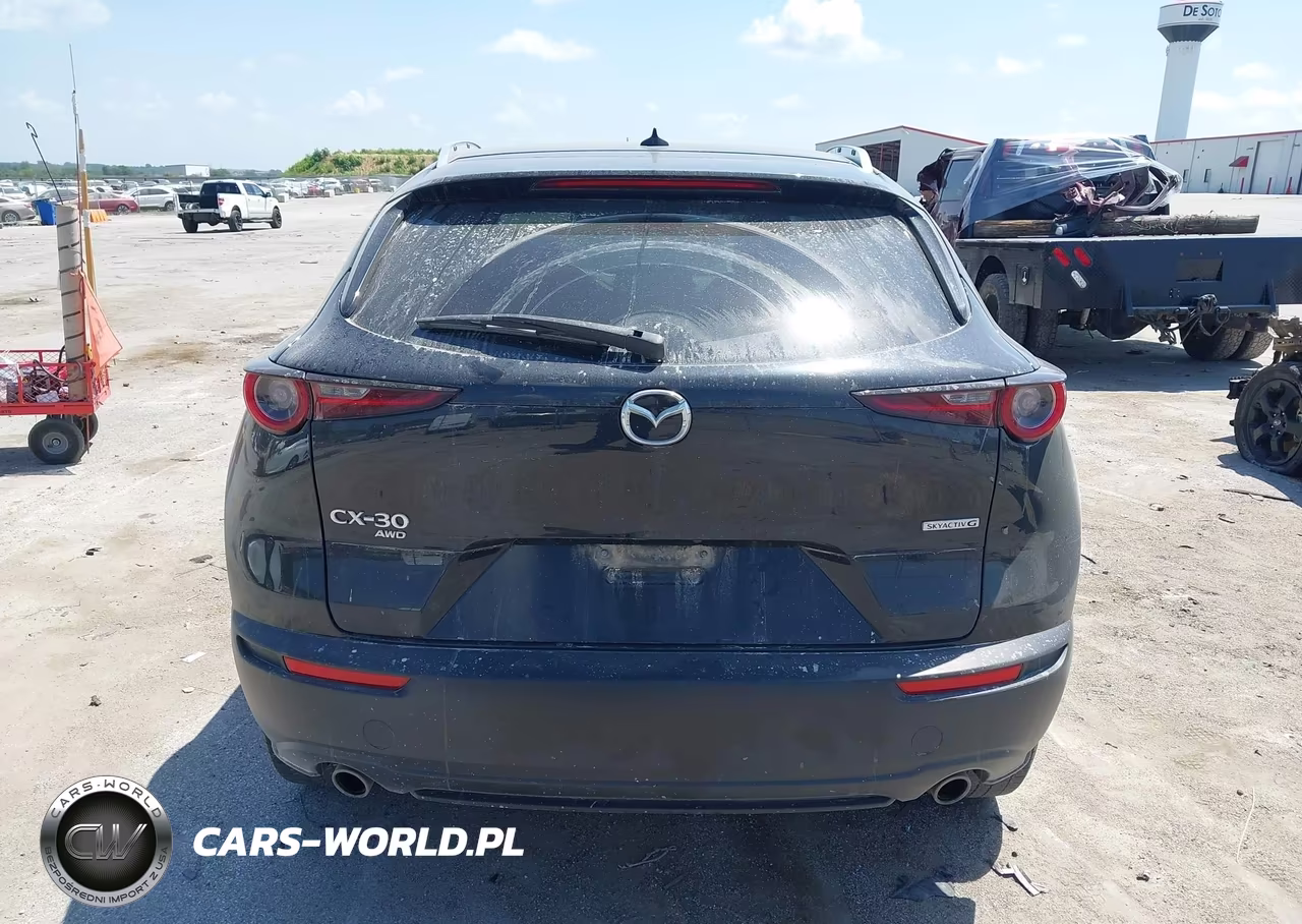 2021 Mazda Cx-30 Premium VIN:3MVDMBDL9MM303477 - 17