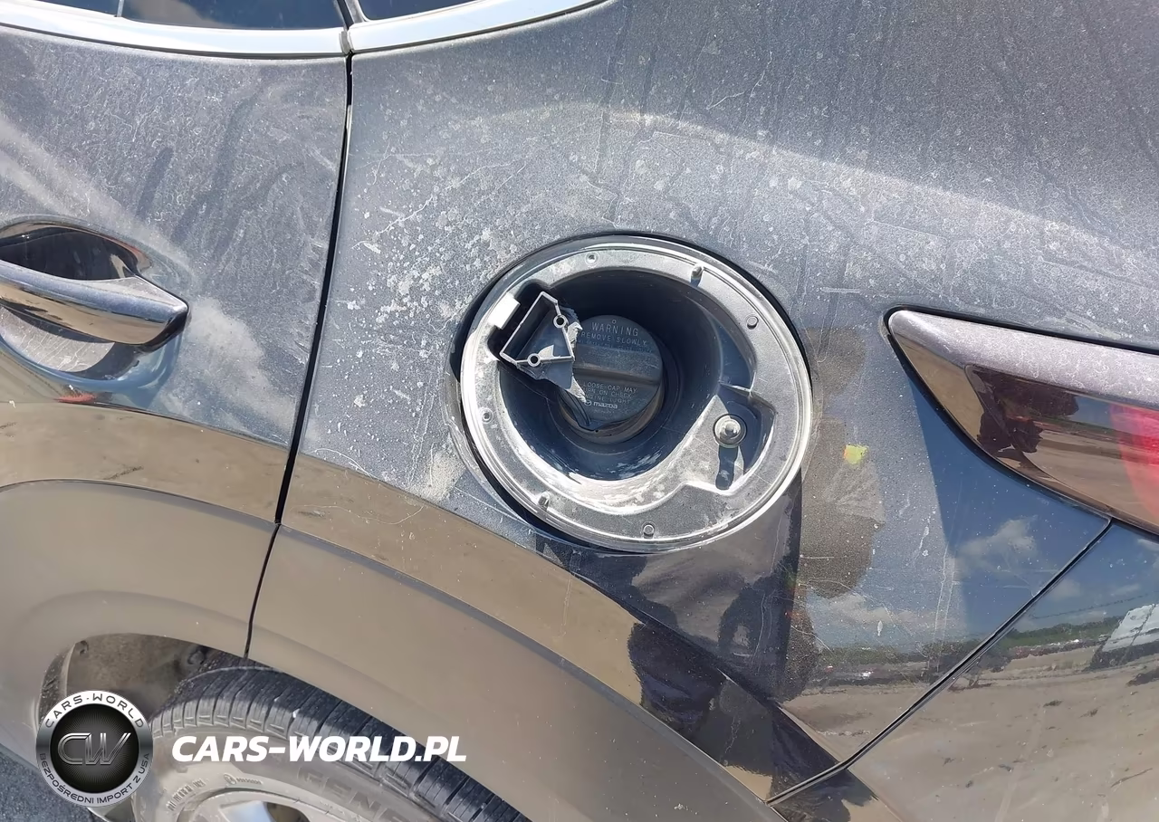 2021 Mazda Cx-30 Premium VIN:3MVDMBDL9MM303477 - 22