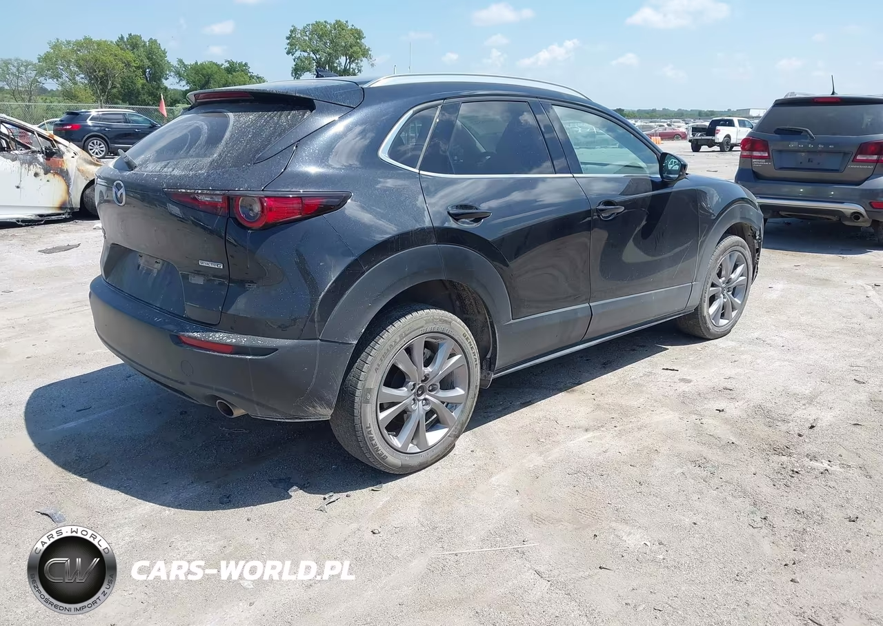 2021 Mazda Cx-30 Premium VIN:3MVDMBDL9MM303477 - 4