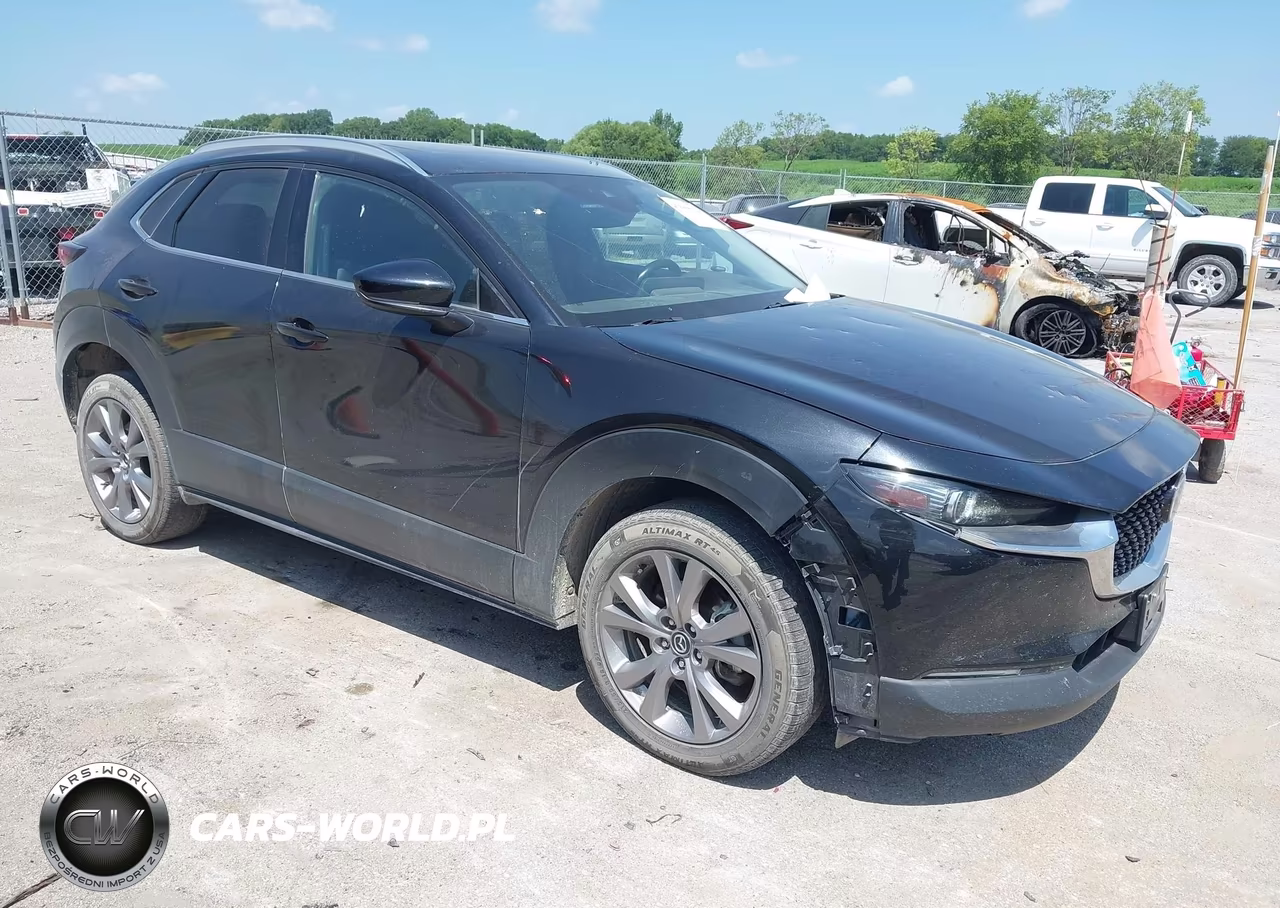 2021 Mazda Cx-30 Premium VIN:3MVDMBDL9MM303477 - 6