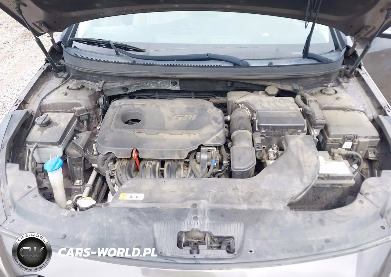 2017 Hyundai Sonata Sport VIN:5NPE34AF8HH561195 - 10
