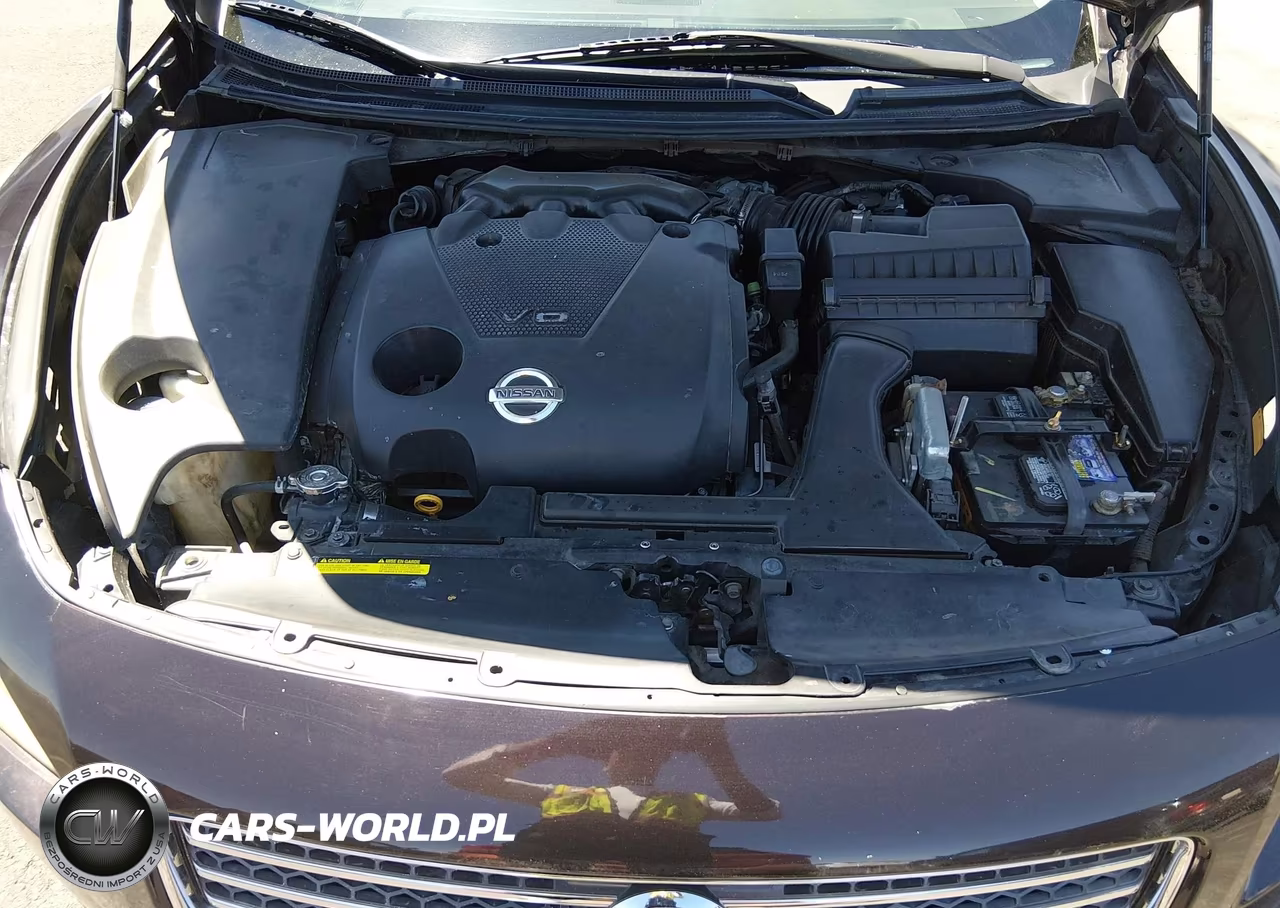 2010 Nissan Maxima 3.5 Sv VIN:1N4AA5AP6AC812368 - 10