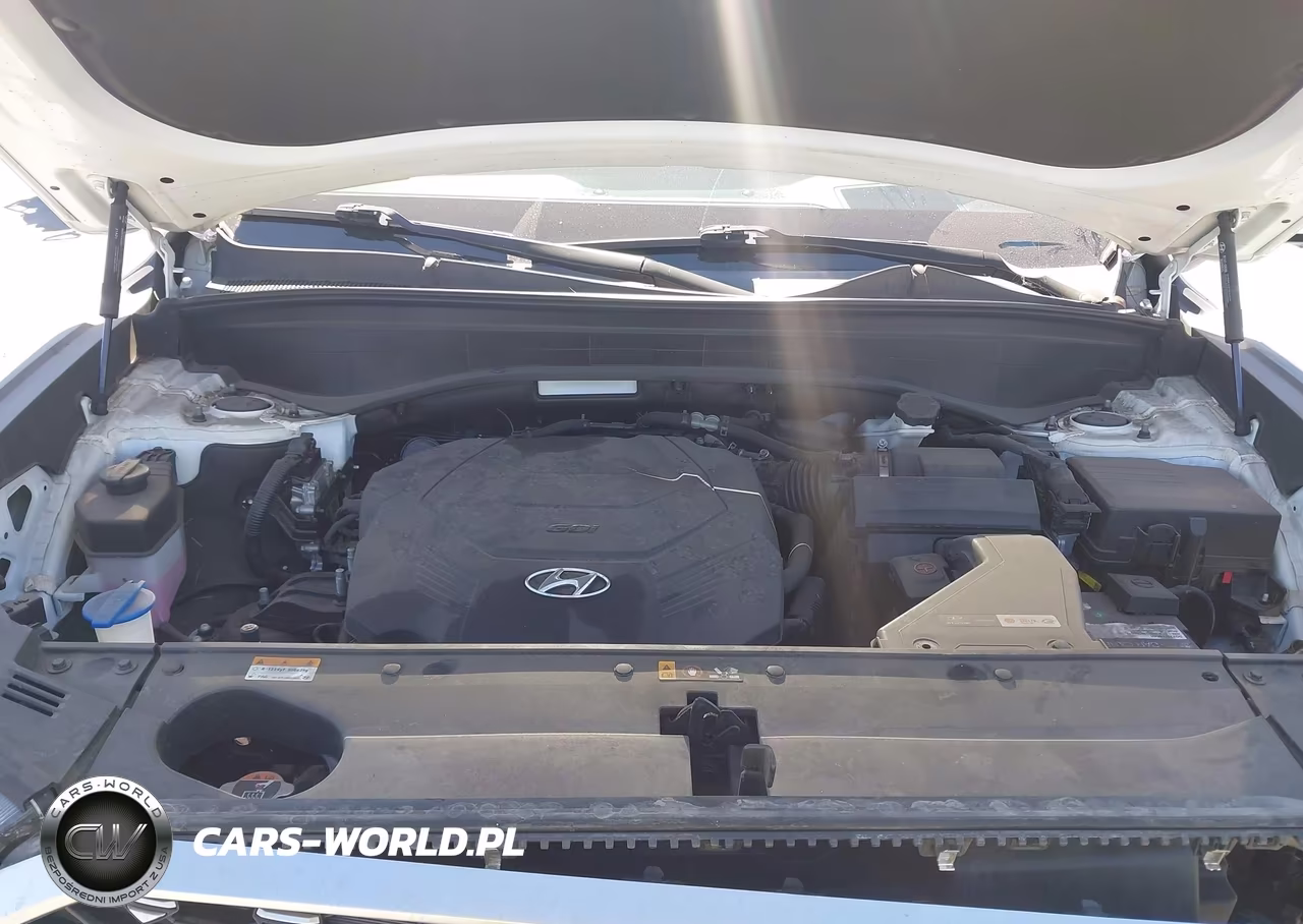 2021 Hyundai Palisade Calligraphy VIN:KM8R74HEXMU284385 - 10