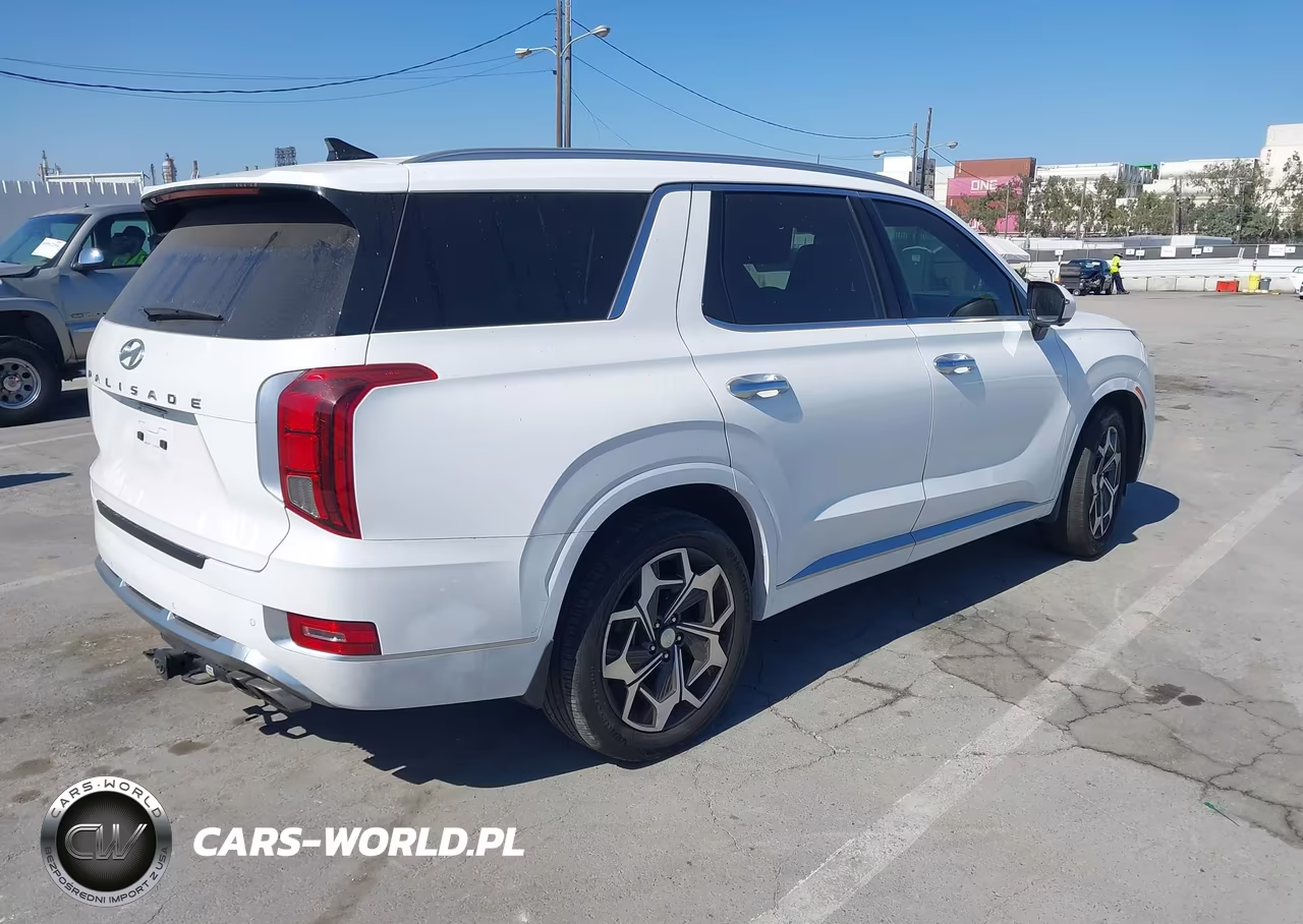 2021 Hyundai Palisade Calligraphy VIN:KM8R74HEXMU284385 - 4