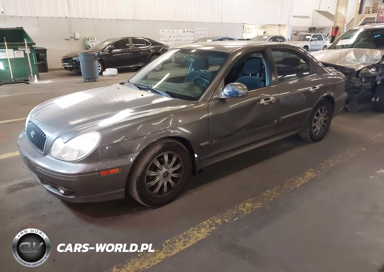2004 Hyundai Sonata VIN:KMHWF25S24A952122 - 2