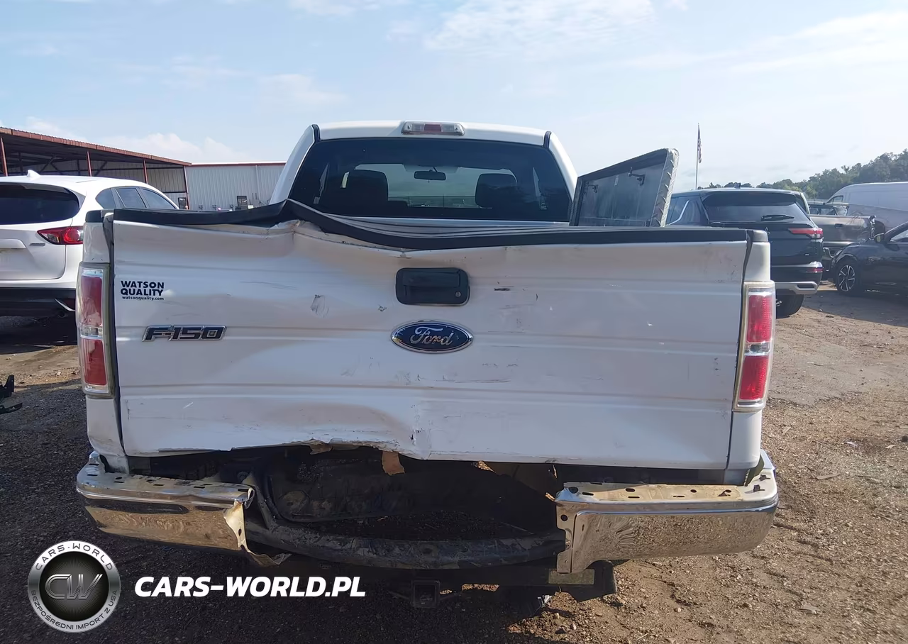 2009 Ford F-150 Stx-Xl-Xlt VIN:1FTRX12849FA72082 - 6