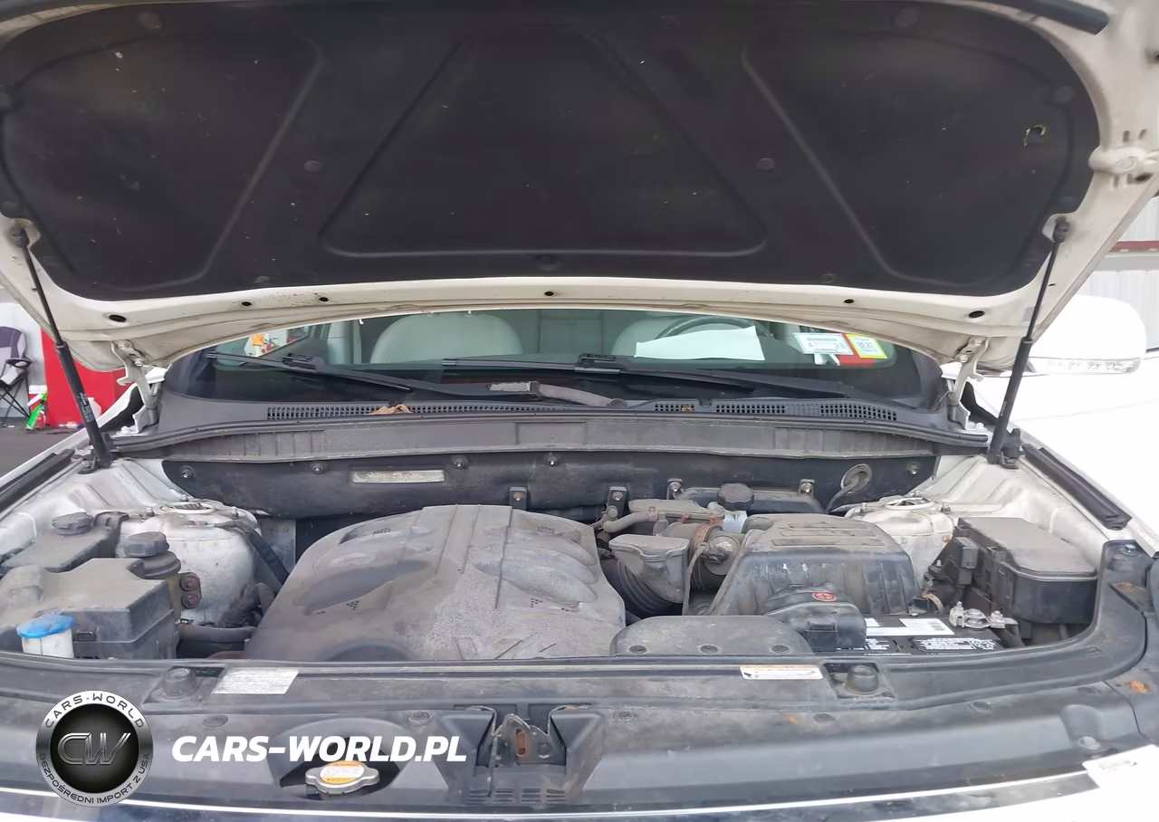 2010 Hyundai Veracruz Gls VIN:KM8NUDCC6AU119376 - 10