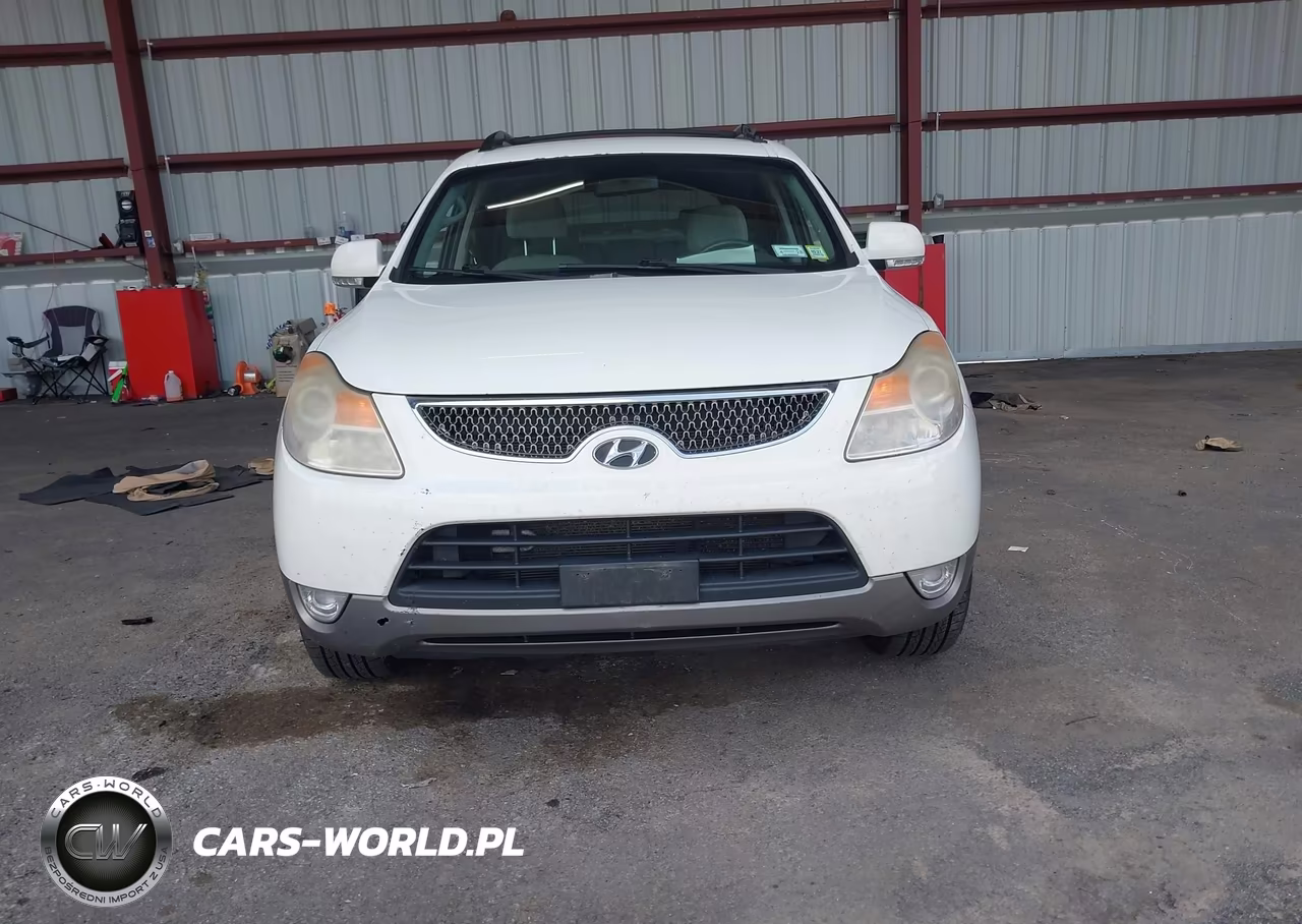 2010 Hyundai Veracruz Gls VIN:KM8NUDCC6AU119376 - 12