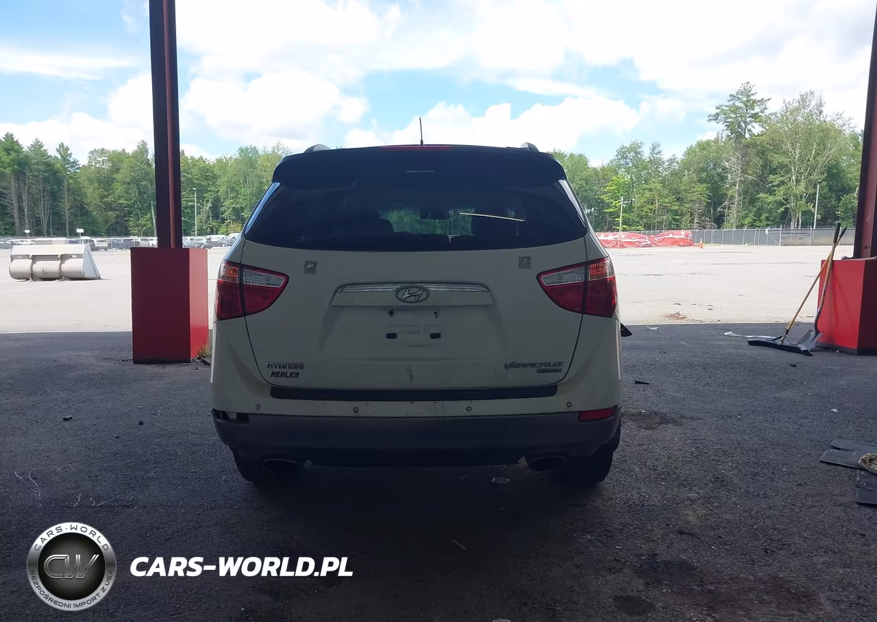 2010 Hyundai Veracruz Gls VIN:KM8NUDCC6AU119376 - 16