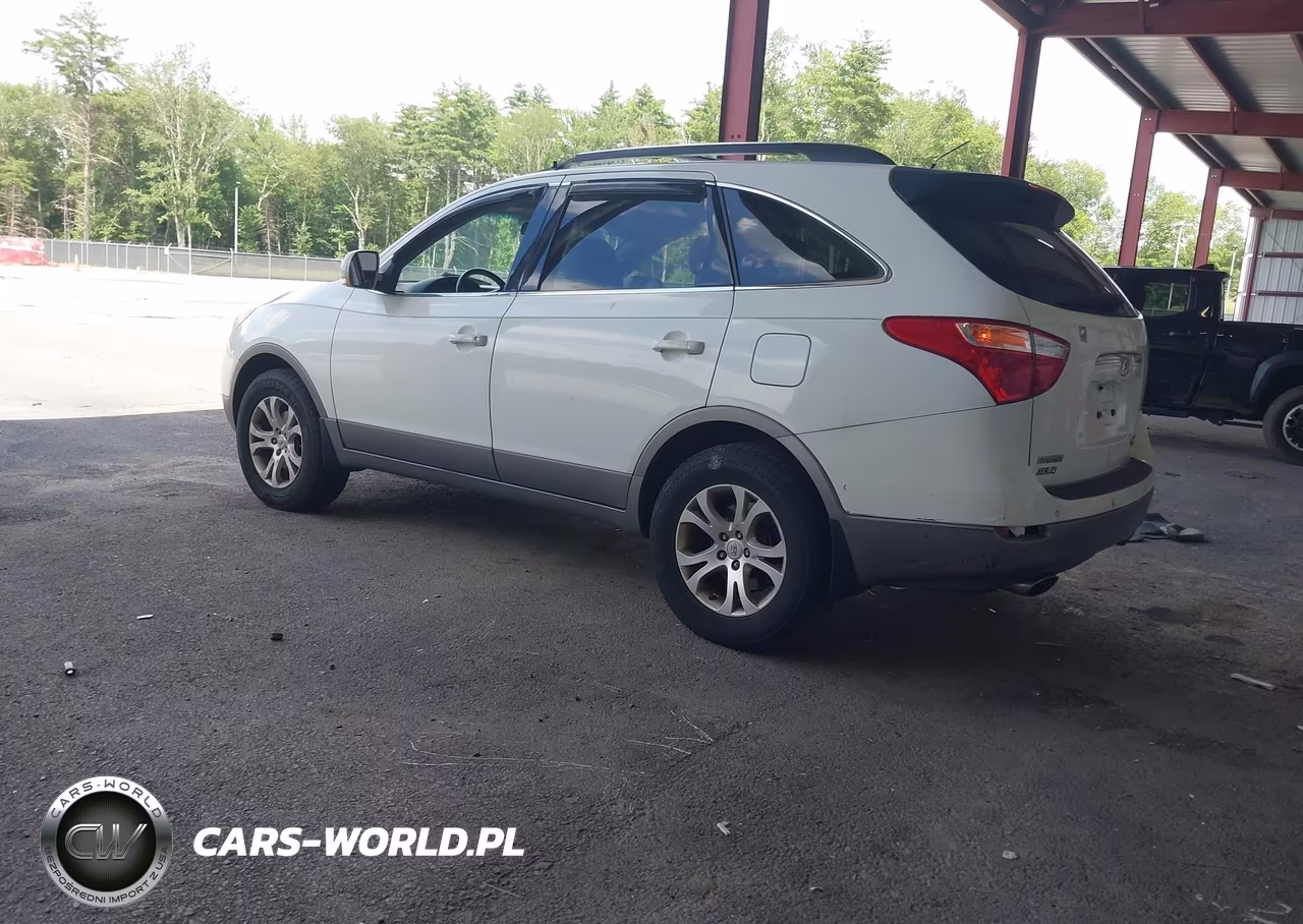2010 Hyundai Veracruz Gls VIN:KM8NUDCC6AU119376 - 3
