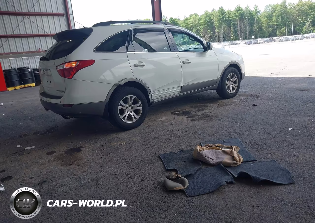 2010 Hyundai Veracruz Gls VIN:KM8NUDCC6AU119376 - 4