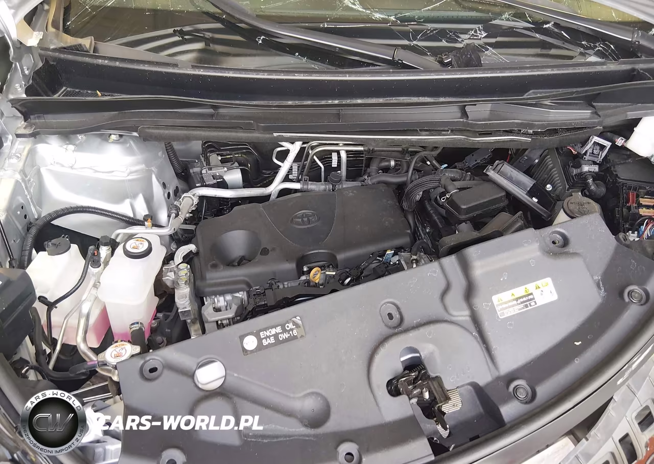 2024 Toyota Sienna Xle VIN:5TDJRKECXRS191543 - 10